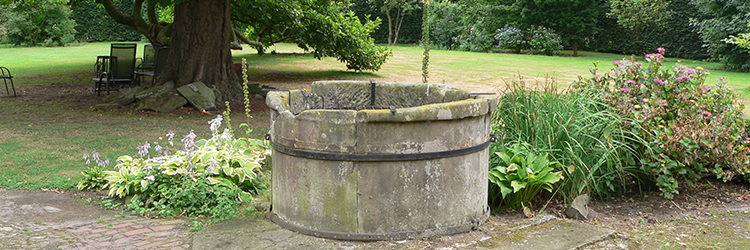 The woman at the well